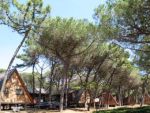 Camping Spina - Chalets, Adria, Italien