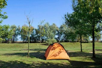 Camping Ca'Savio, Cavallino, Adria: Zeltplatz unter Pinien