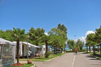 Gardasee, Sirmione: Camping Tiglio, Stellplätze