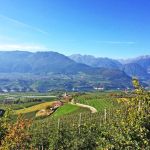 Agriturismo Alpenvidehof, Valle di Non, Trentino, Italien