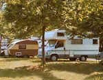 Toskana - Pisa - Camping Torre Pendente: Stellplatz