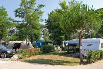 Toskana: Stellplatz auf Camping Park Albatros